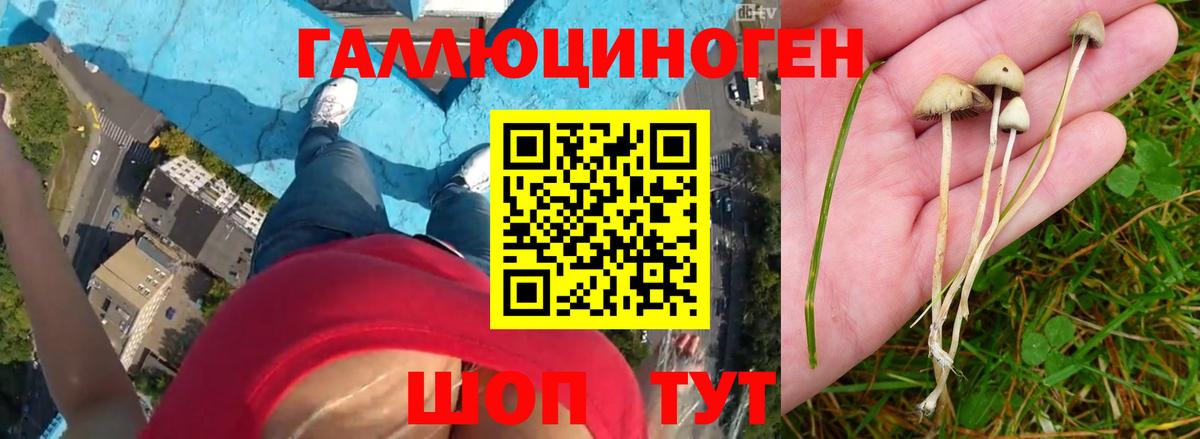 Псилоцибиновые грибы мухоморы Великий Новгород