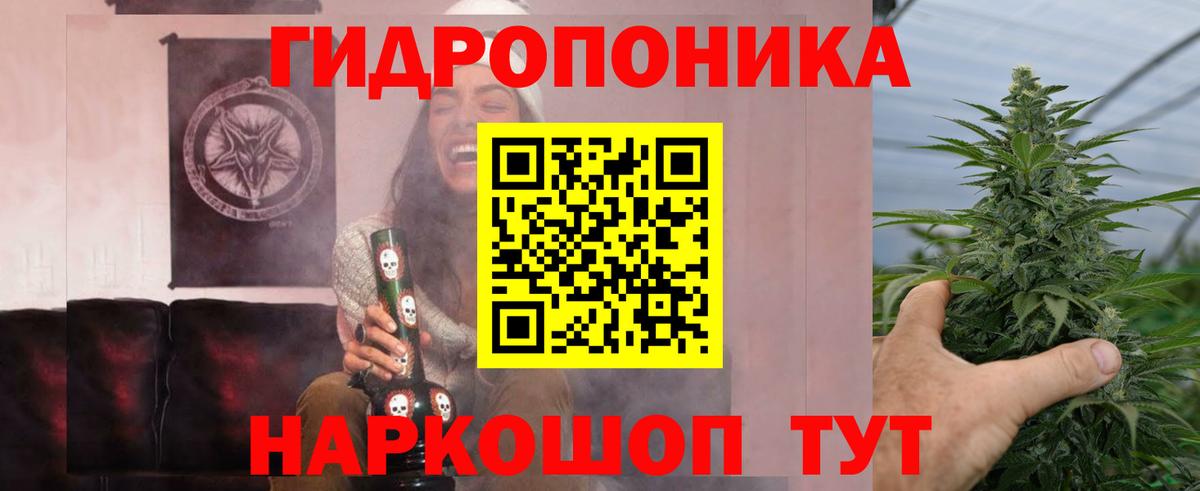 Бошки Шишки конопля  Вход с VPN  МАРИХУАНА конопля  Великий Новгород  Каннабис White Widow 